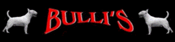 Bullis Chemnitz