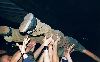 tornados_24_werk_2004.jpg